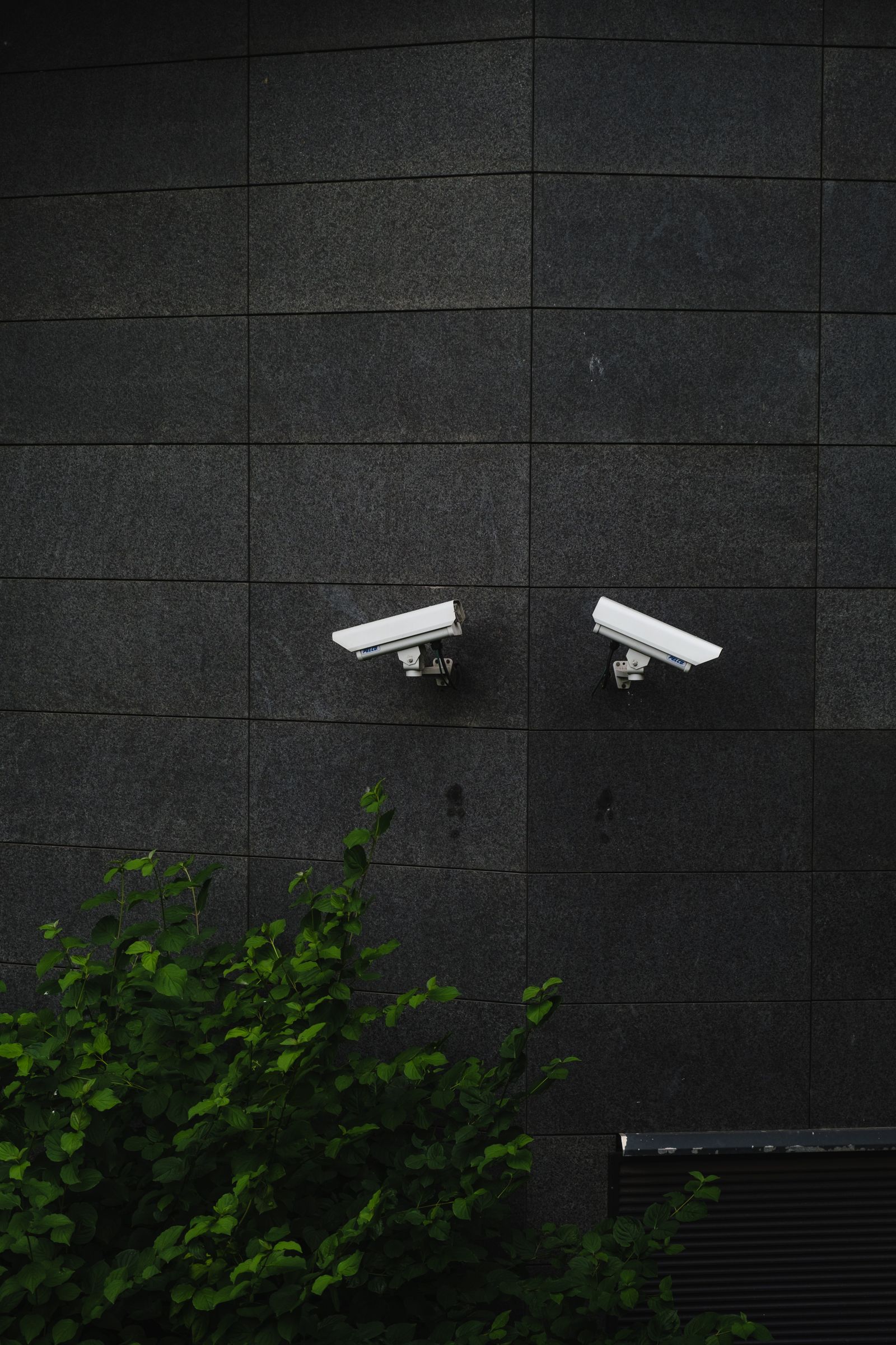 Telecamere di sicurezza installate a parete
